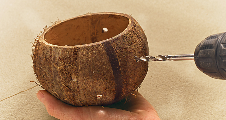 Kokosschale_img_02