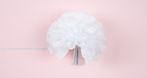 Pompon_06