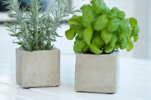DIY Pflanzen-Cubes aus Beton