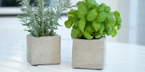 DIY Pflanzen-Cubes aus Beton