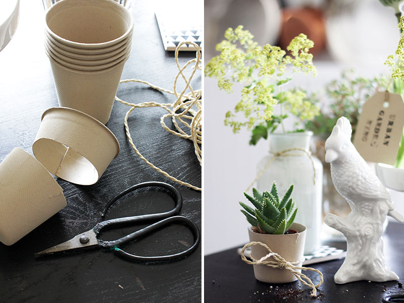 DIY-Mini-Blumentöpfe
