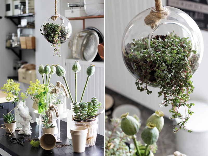 Glaskugel-als-Blumentopf