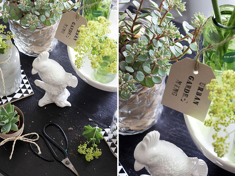 Urban-Gardening-mit-Sukkulenten