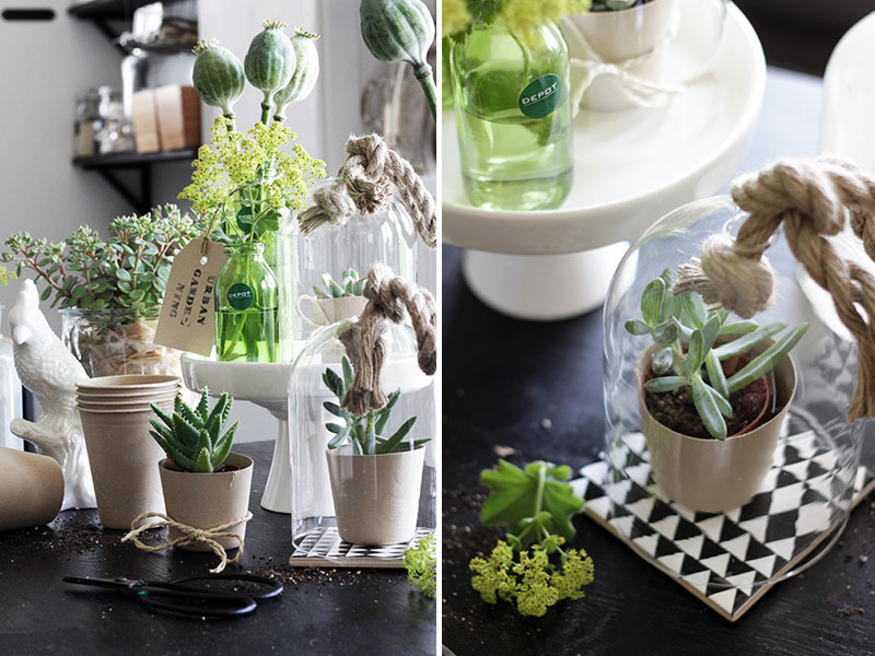 Urban-Jungle-in-der-Küche