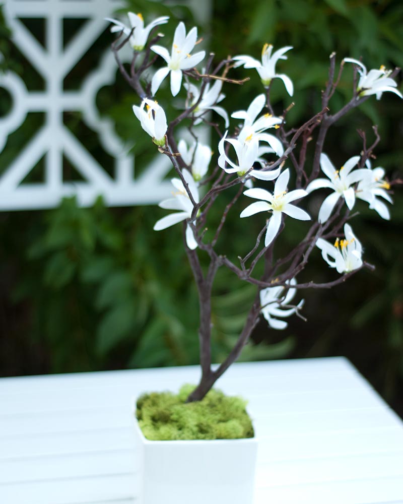 Dekoidee: Centerpiece-Bäumchen