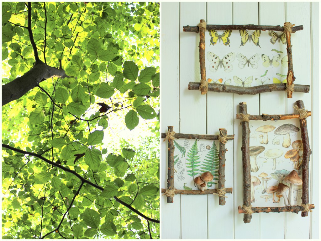 Bilderrahmen aus dem Wald 12