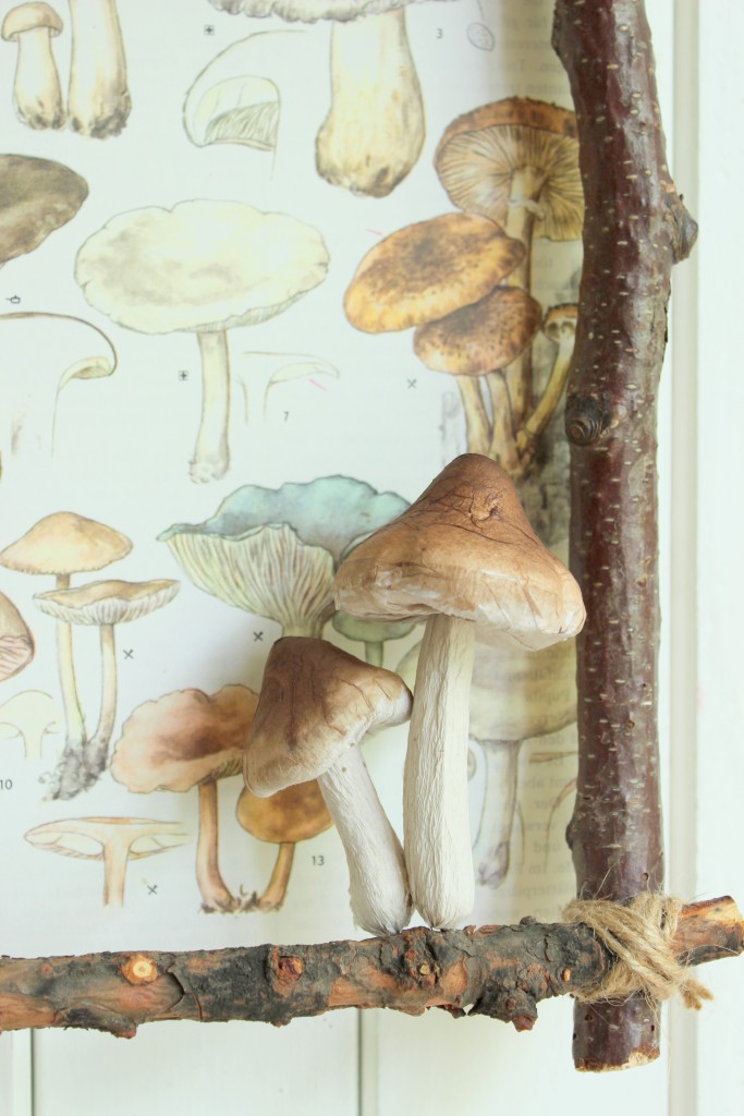 Bilderrahmen aus dem Wald 3