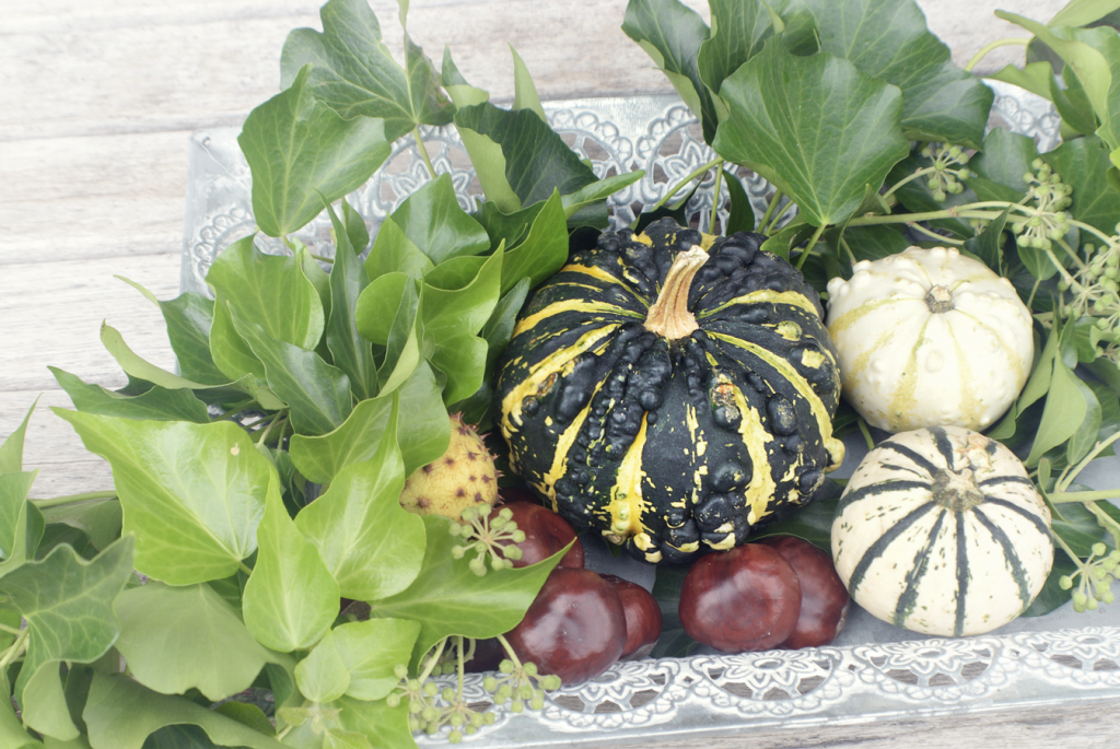 Herbstdekoration fuer Hof und Garten - 12