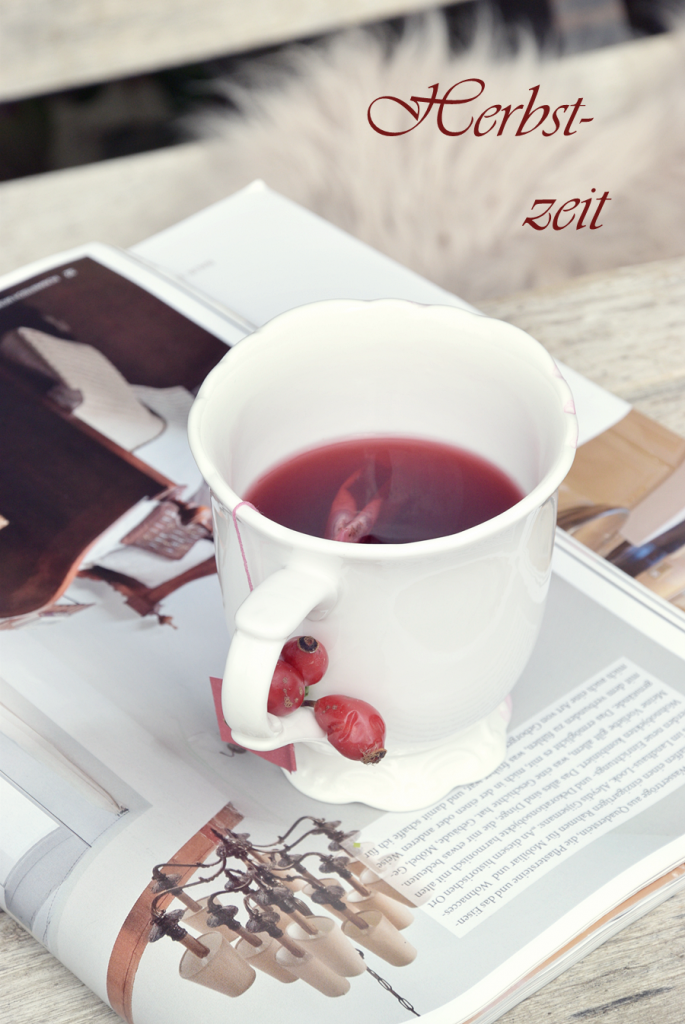 Herbstdekoration fuer Hof und Garten - 13