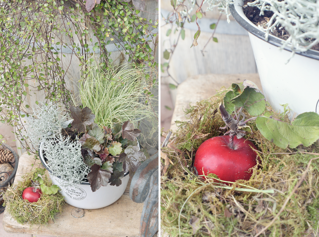 Herbstdekoration fuer Hof und Garten - 19