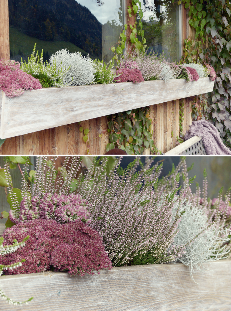 Herbstdekoration fuer Hof und Garten - 20