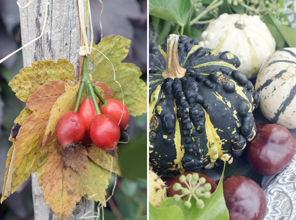 Herbstdekoration fuer Hof und Garten - 21