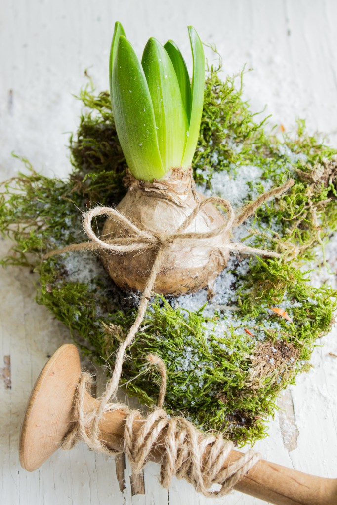 Frühlingshafte Grüße im Winter