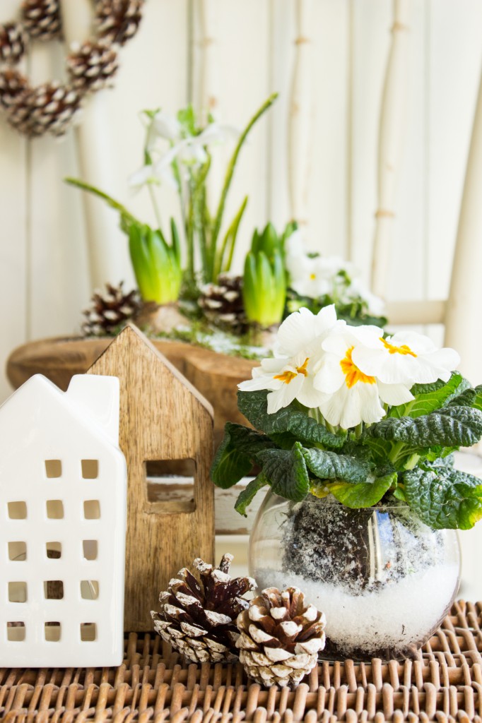 Frühlingshafte Grüße im Winter