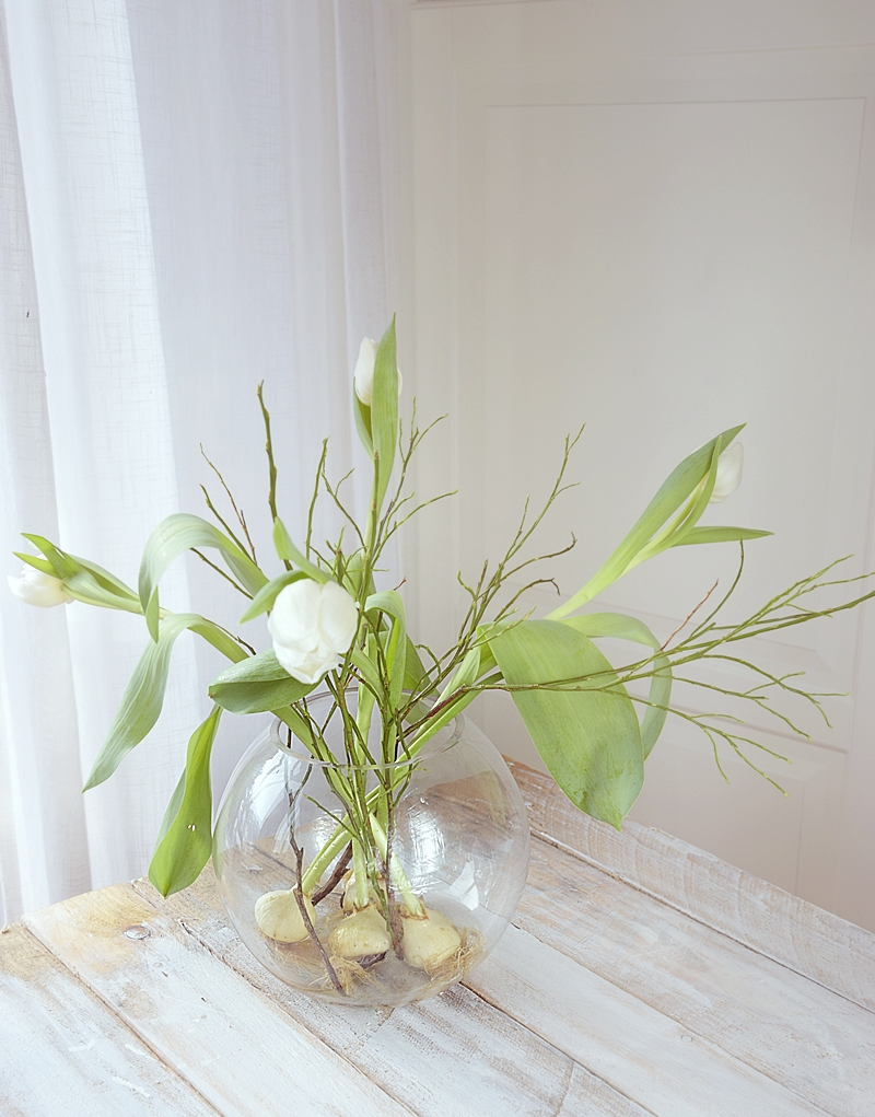 Fruehling-in-der-Kueche-jetzt-wird’s-bunt 13