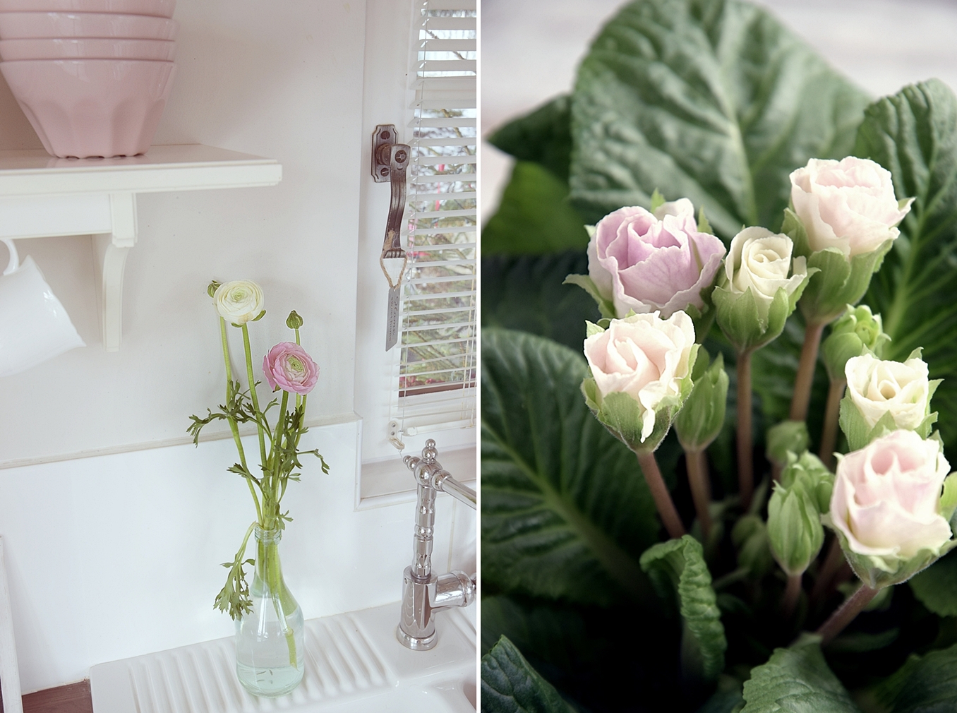 Fruehling-in-der-Kueche-jetzt-wird’s-bunt 15