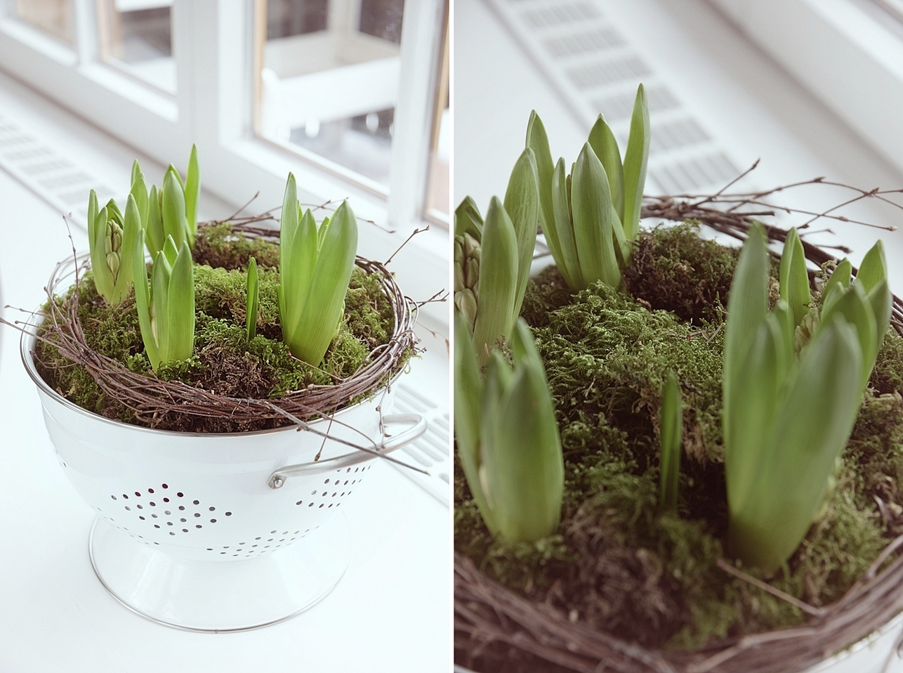 Fruehling-in-der-Kueche-jetzt-wird’s-bunt 16