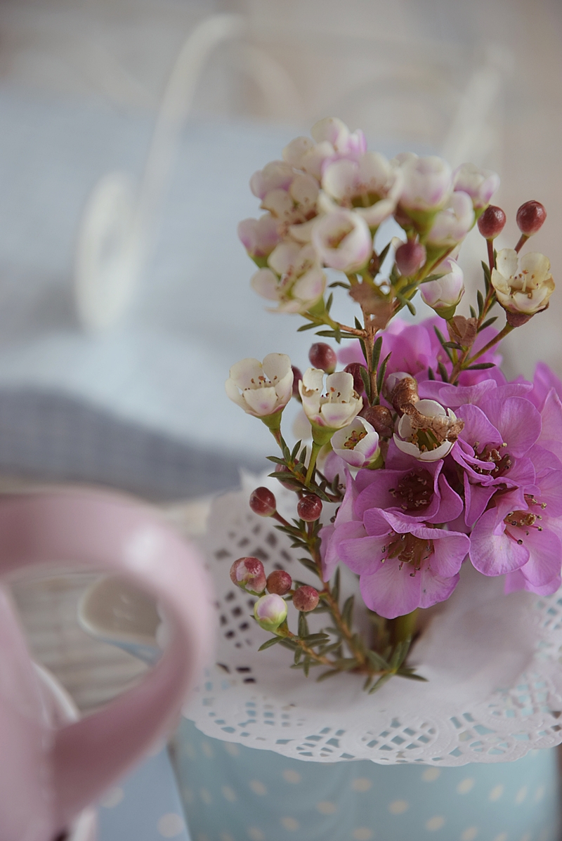 Fruehling-in-der-Kueche-jetzt-wird’s-bunt.3