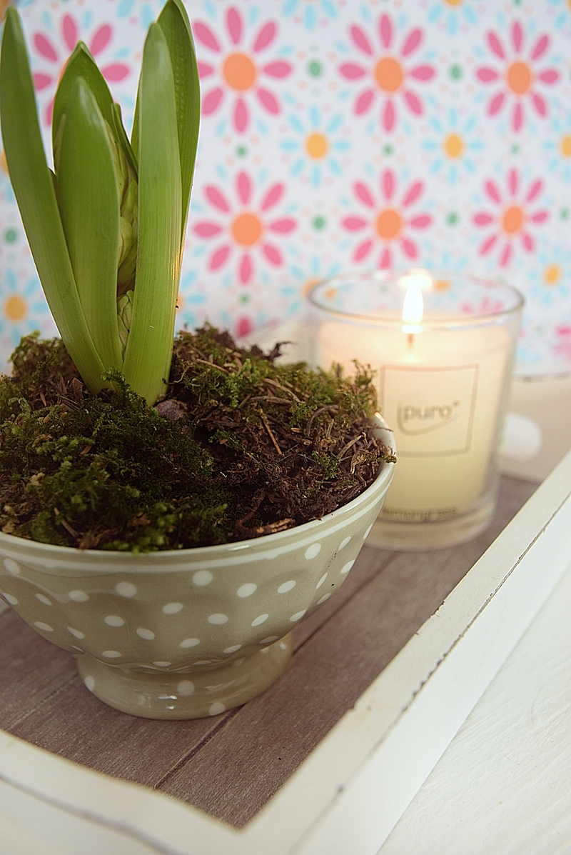 Fruehling-in-der-Kueche-jetzt-wird’s-bunt.JPG1