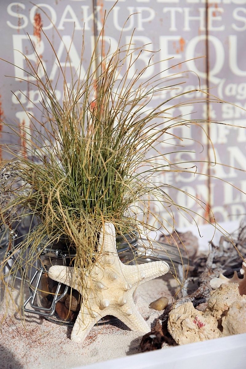 Deko-im-beachhouse-look 15