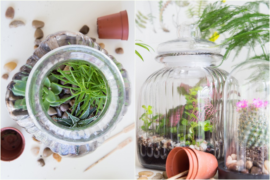 Vorratsgläser neu eingesetzt - als Terrarium (22)