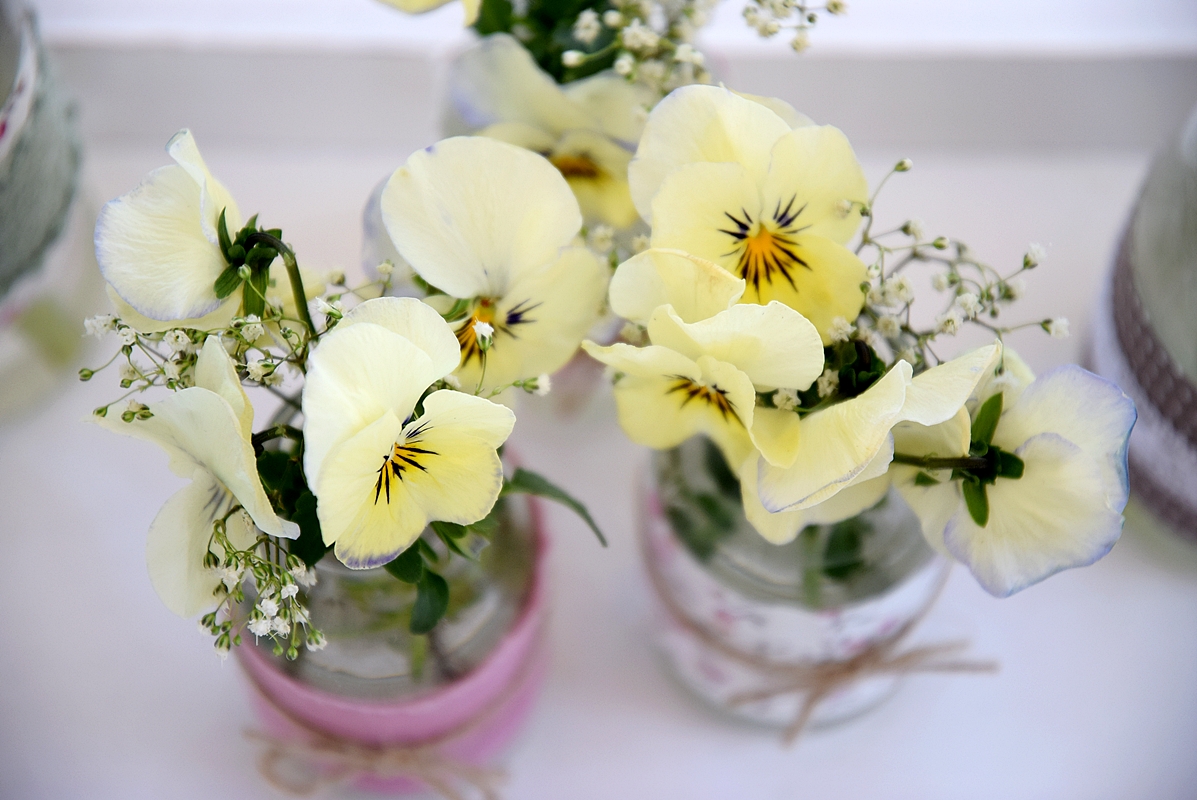 DIY-alte-Flaschen-neue-Vasen 5k