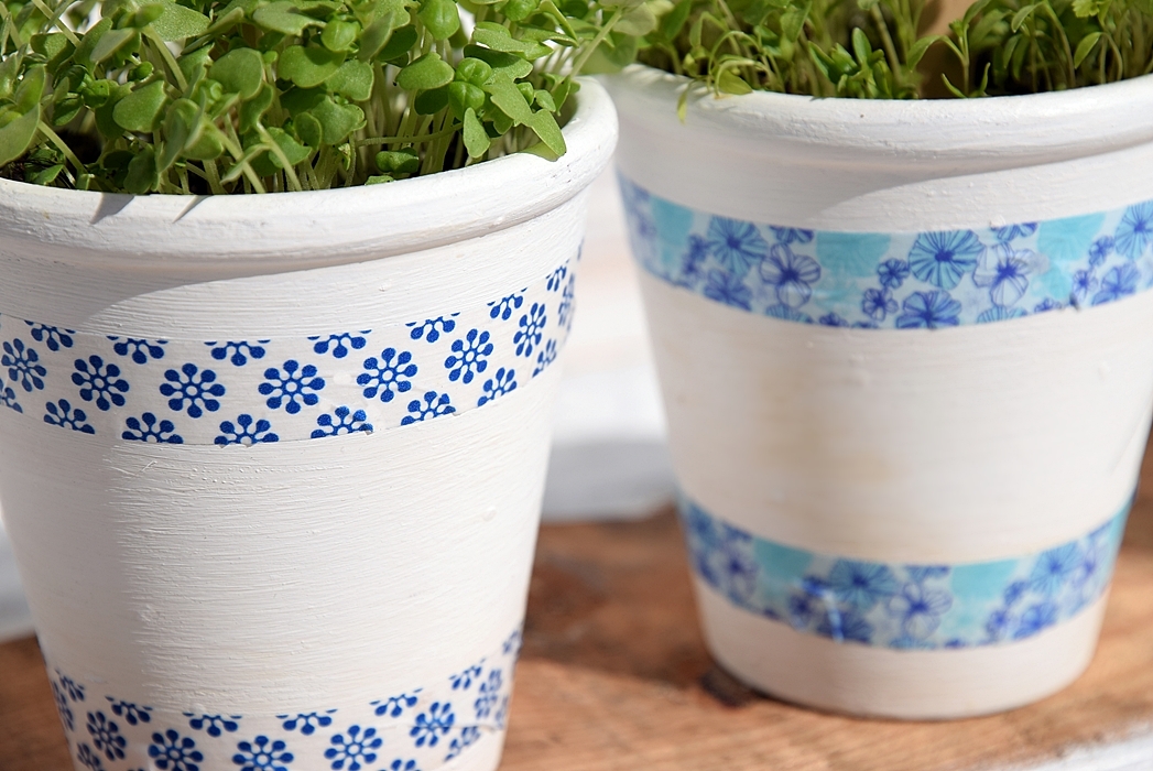 Frische-Krauter-selber-zuechten k