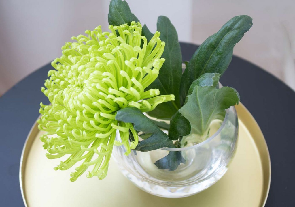 depot-gastbeitrag-pretty-nice-2