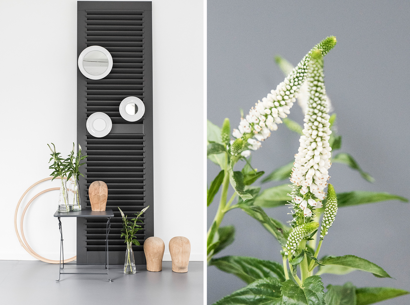 Wanddeko mit Tellerspiegeln. Wanddeko