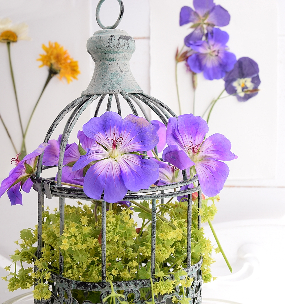 DIY-Sommerdeko-mit-gepressten-Blumen 6k