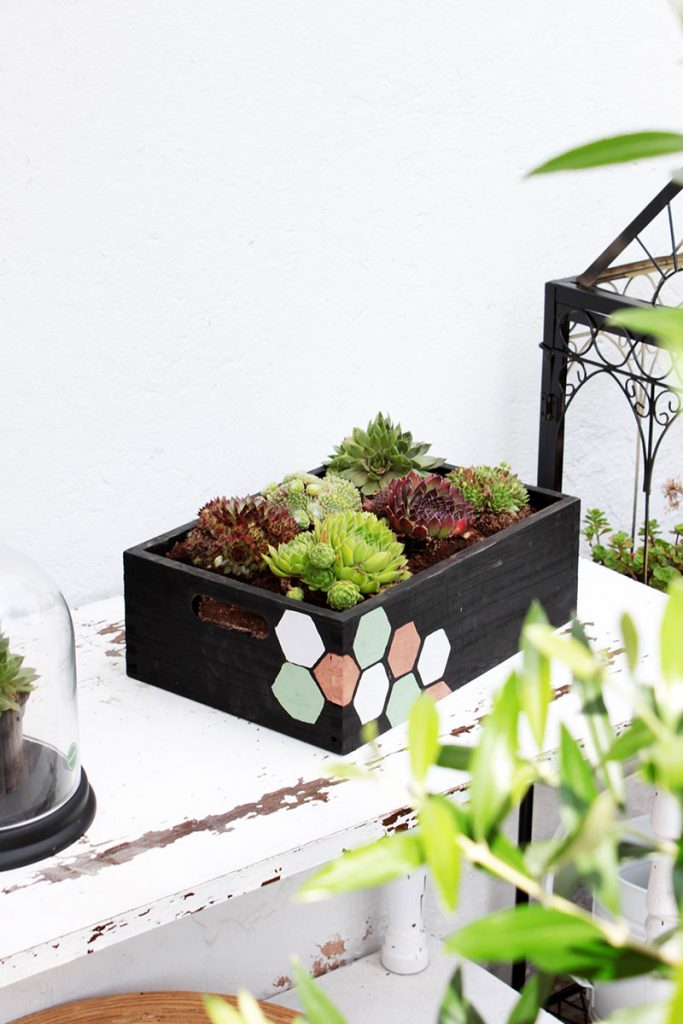 DIY-Blumenkasten-mit-Wabenprint-für-Sukkulenten-