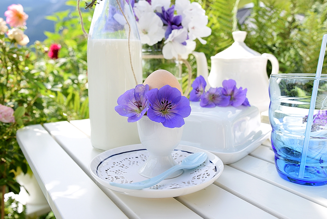 Fruehstueck-im-Freien-mit-Depot 9k