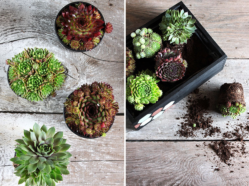 Step-3-DIY-Blumenkasten