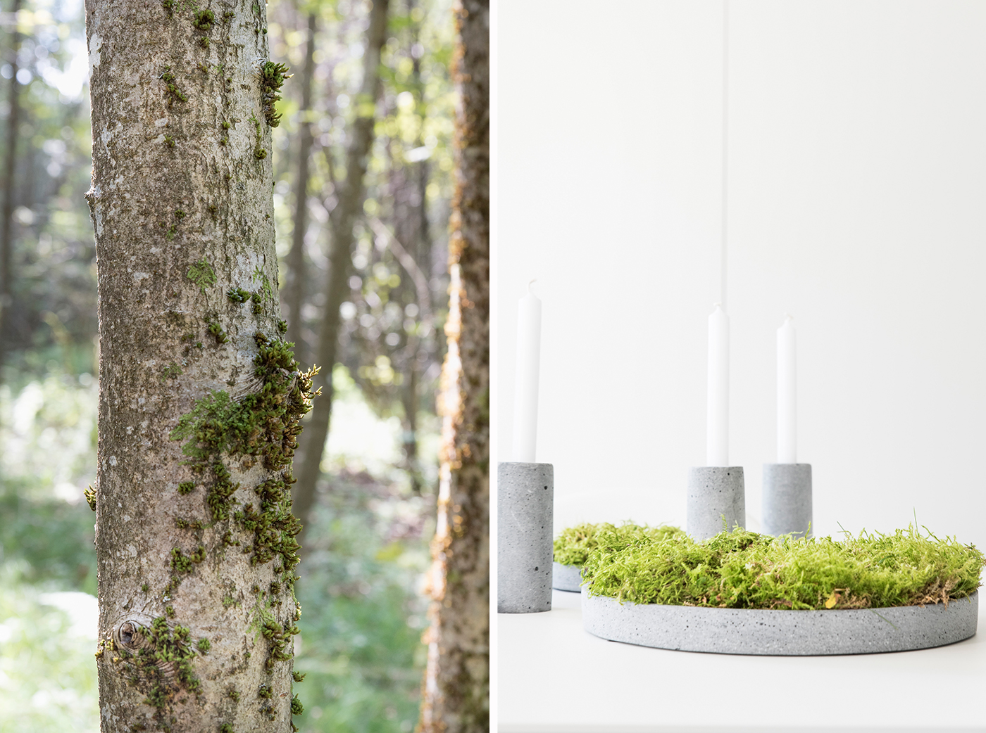 Herbstliche Tischdeko - Deko mit Moos