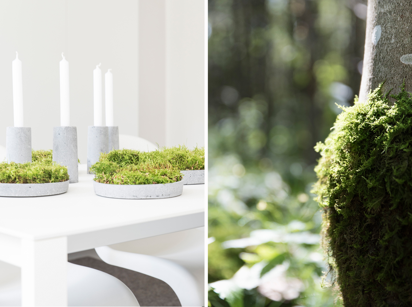 Herbstliche Tischdeko - Deko mit Moos