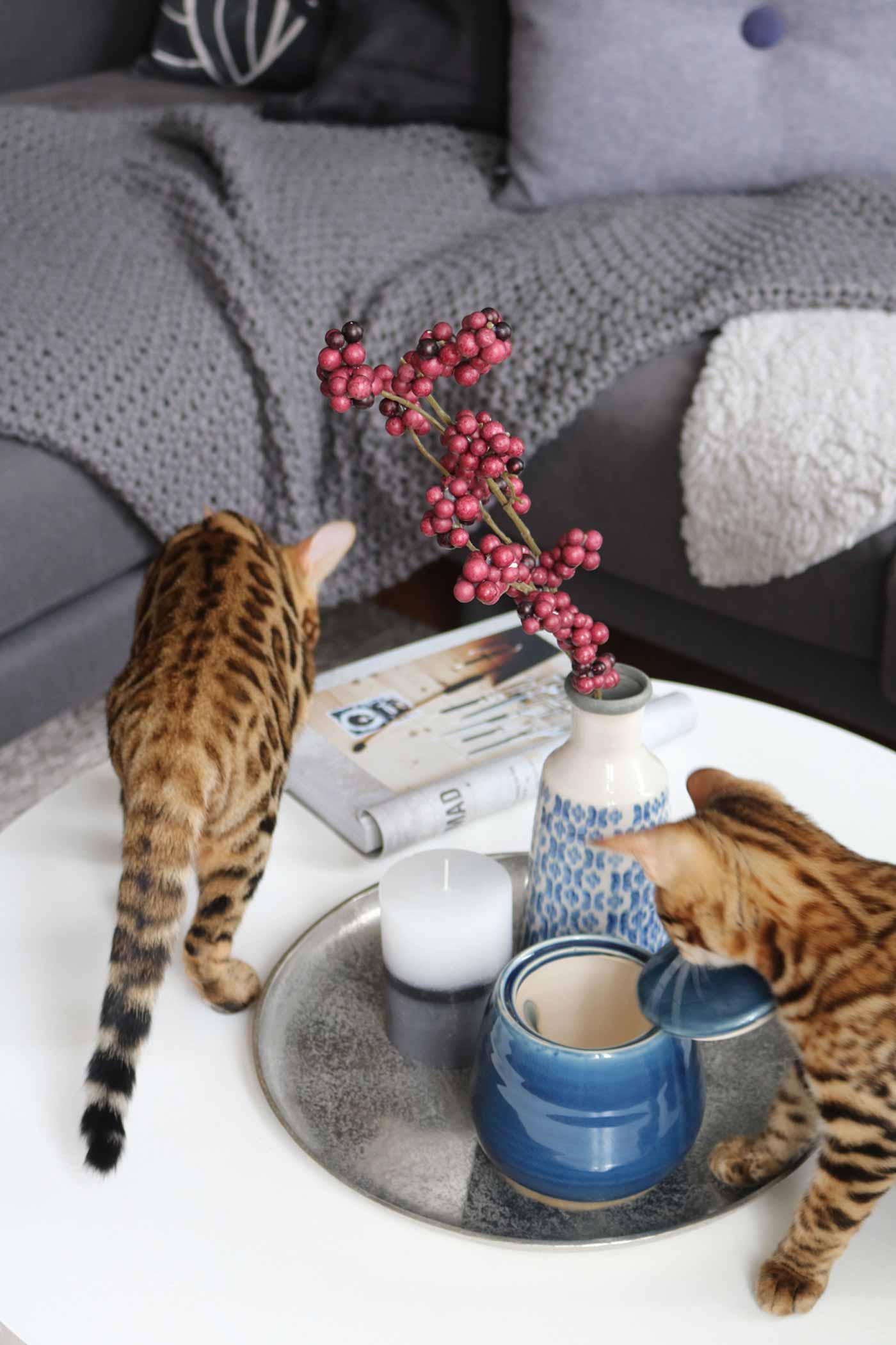 wohnzimmer-blue-marrakesh-pretty-nice-5