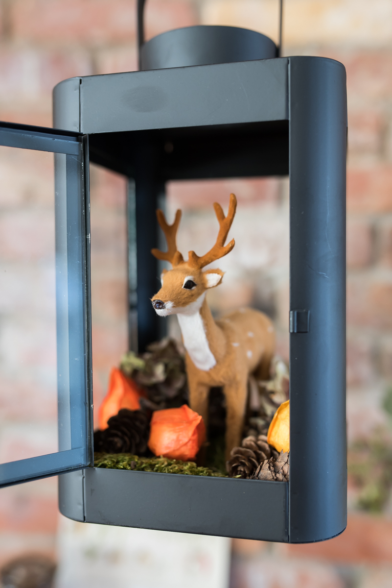 Selbst gebaute Hängelampe aus einem Ast mit Laternen von DEPOT als Deko für den Herbst