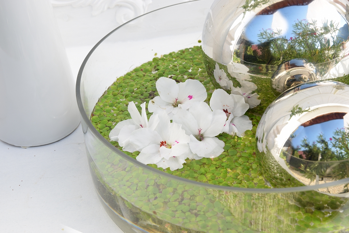 dekoidee-metallkugeln-in-schwimmschale-dekoriert-mit-pflanzen-5k