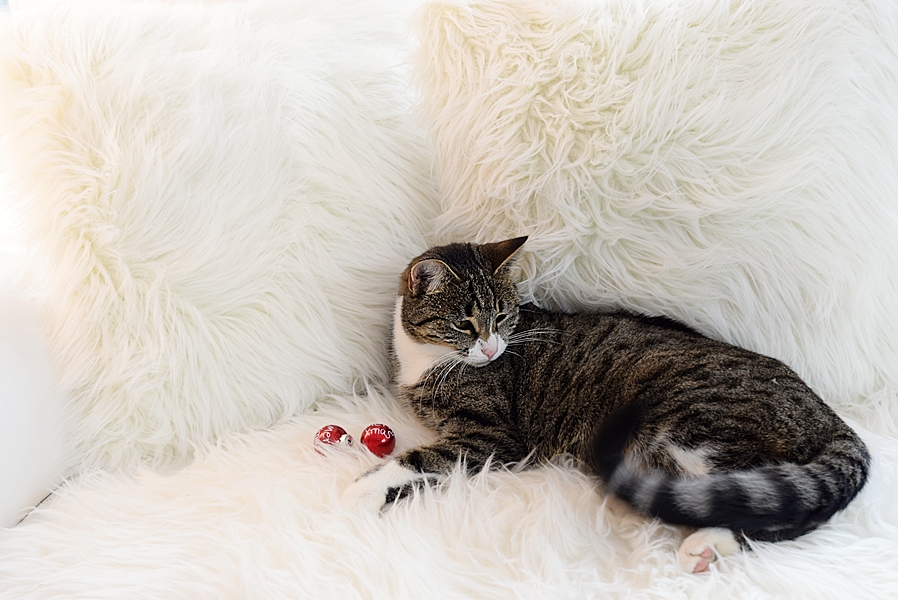 weihnachtliche-fensterdeko-selber-machen-32