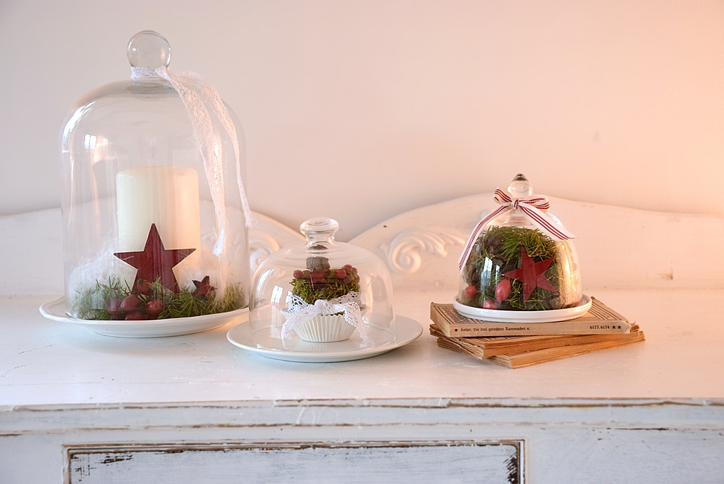 dekoideen-mit-glasglocken-von-depot-1k