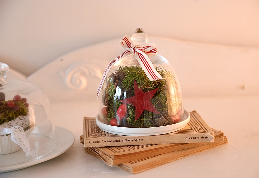 dekoideen-mit-glasglocken-von-depot-7k