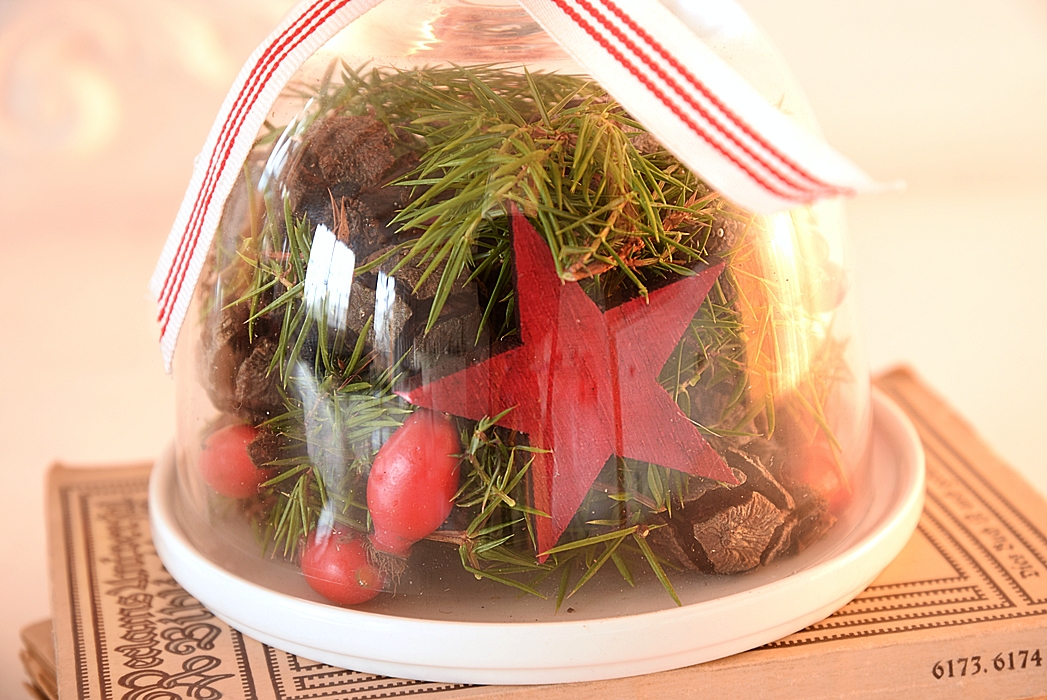 dekoideen-mit-glasglocken-von-depot-8k