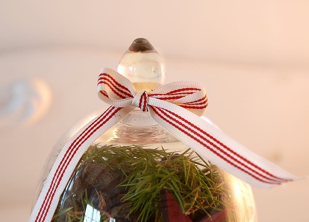 dekoideen-mit-glasglocken-von-depot-9k