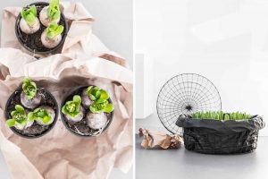 Frühlnsdekoration mit Frühblühern.