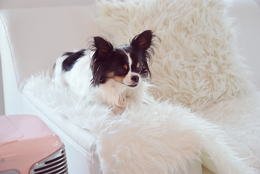 wohntrend-schwarz-weiß-look 15k-min (1)