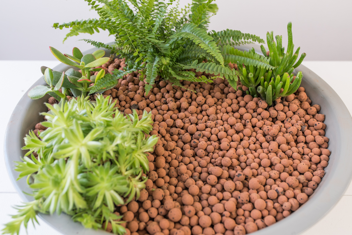 DIY indoor Garten im Asia Look