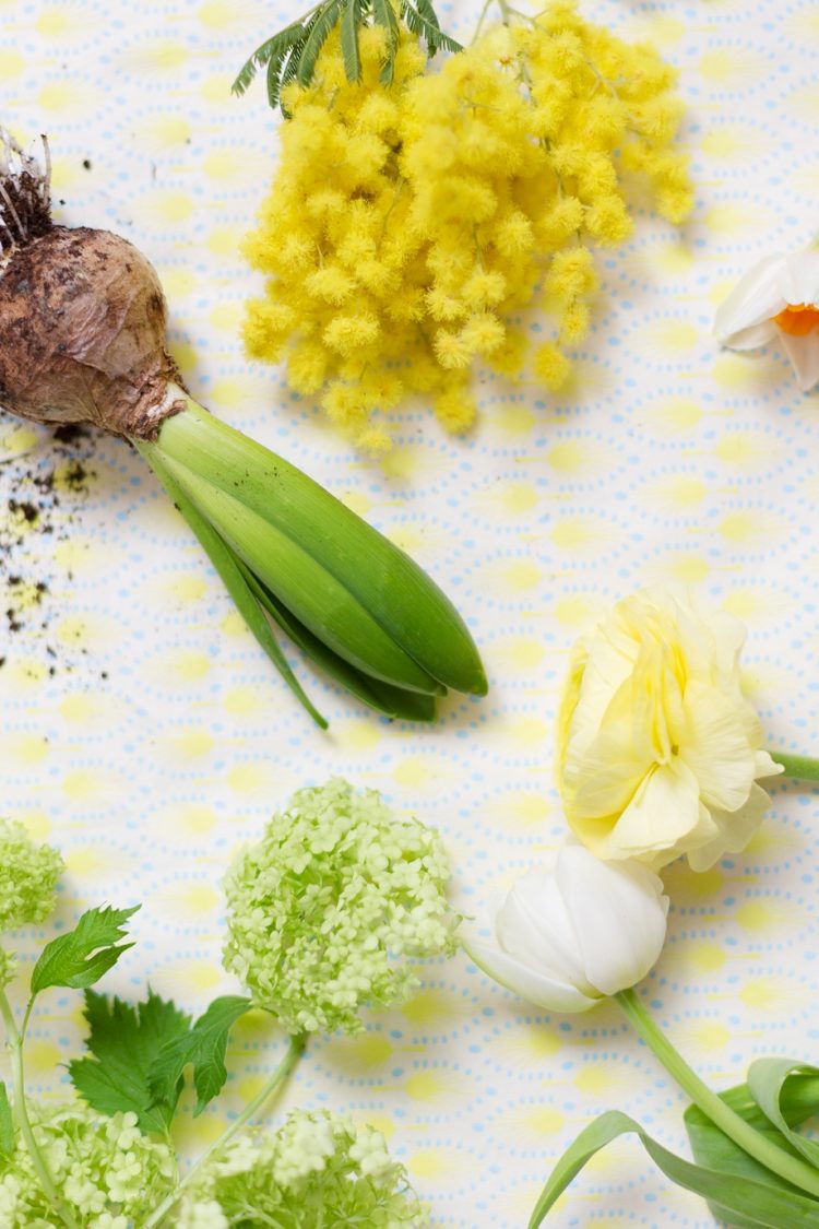 Dekoidee-mit-Blumenzwiebeln-schoen-bei-dir-wienerwohnsinn-_0001