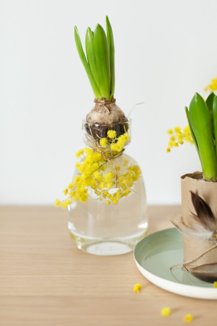 Dekoidee-mit-Blumenzwiebeln-schoen-bei-dir-wienerwohnsinn-_0006