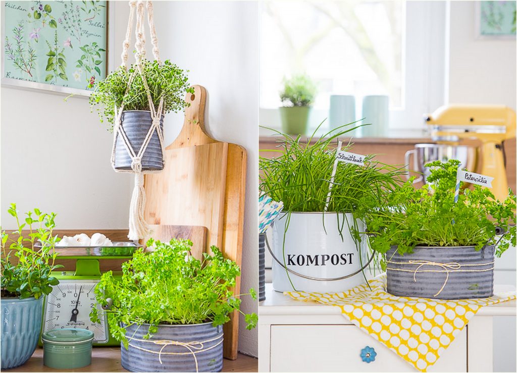 Dekorieren mit Küchenkräuter (15)