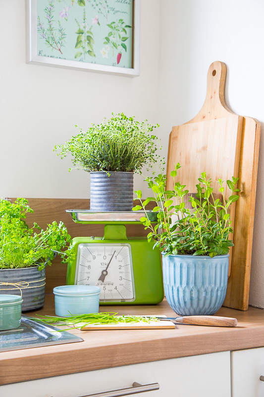 Dekorieren mit Küchenkräuter